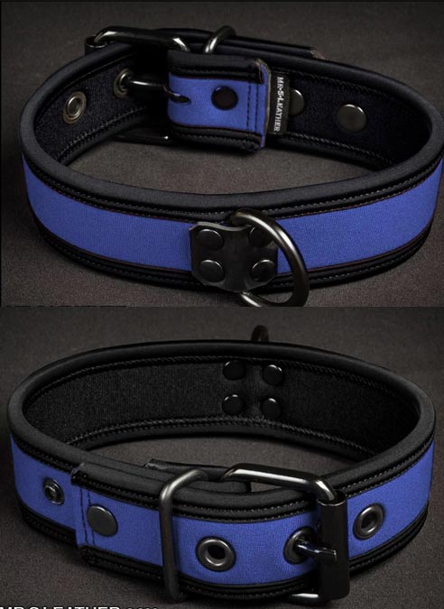 Mr. S Neoprene Puppy Collar Royal blue