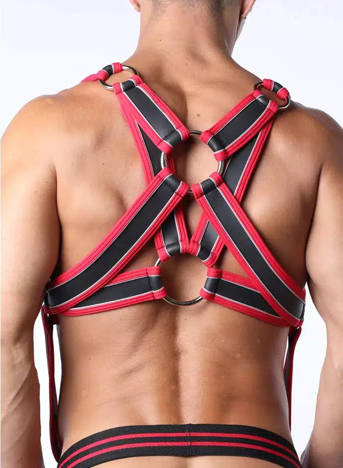 Cellblock 13 Mercury Harness Red