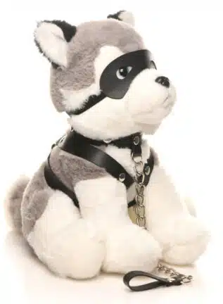 Max The Fetish Pup