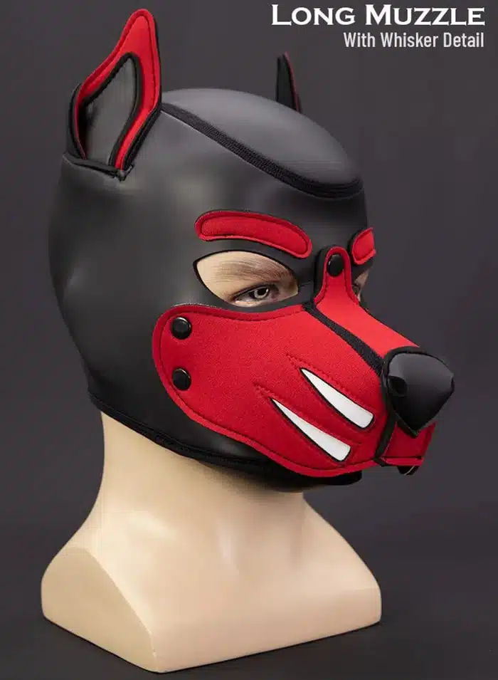 Mr. S Custom Neo K9 Hood