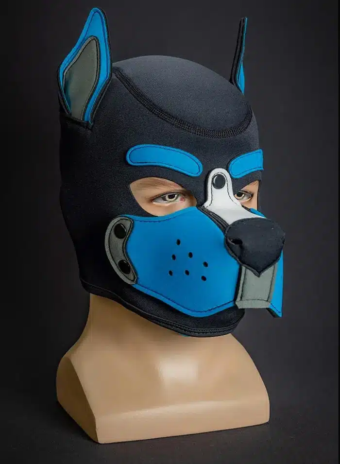 Mr. S Custom Neo K9 Hood