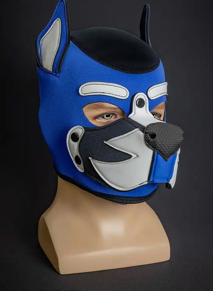 Mr. S Custom Neo K9 Hood