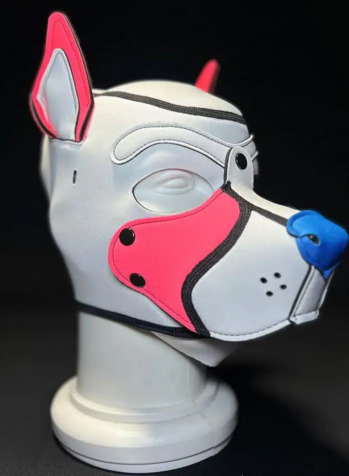 Mr. S Custom Neo K9 Hood