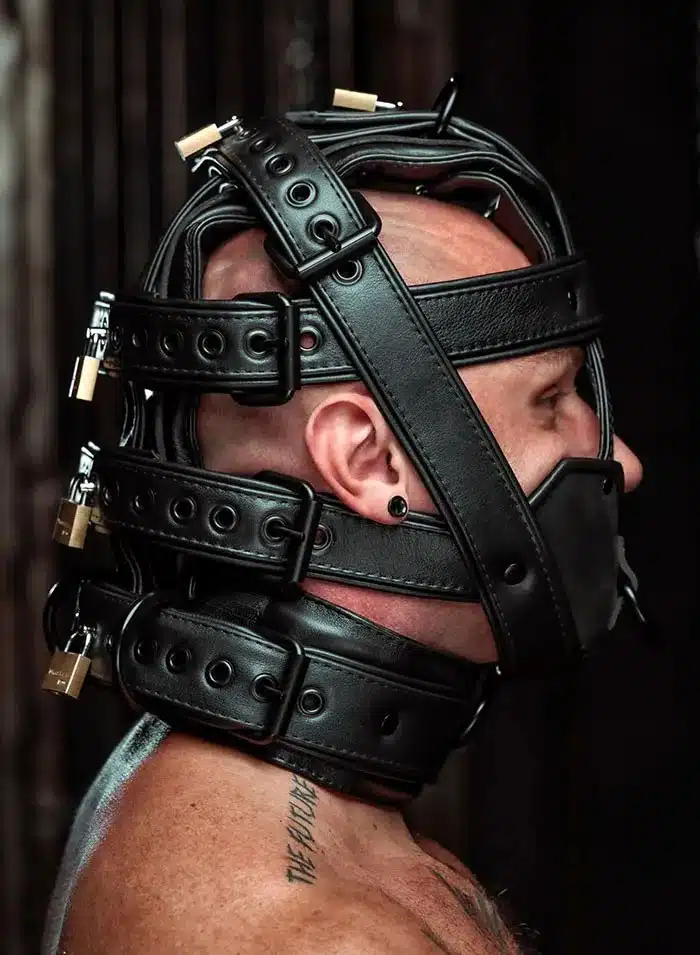 Mr. S Hardline Head Harness Muzzle Padded Locking Black