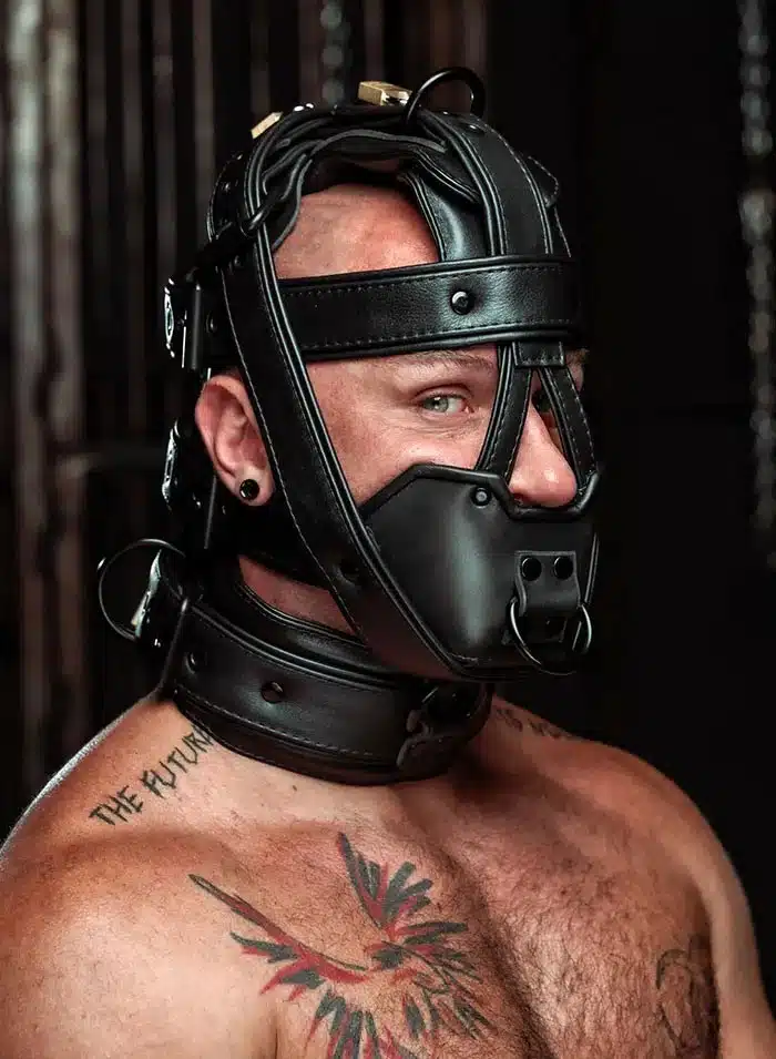 Mr. S Hardline Head Harness Muzzle Padded Locking Black