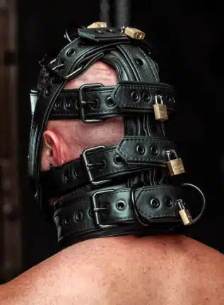Mr. S Hardline Head Harness Muzzle Padded Locking Black
