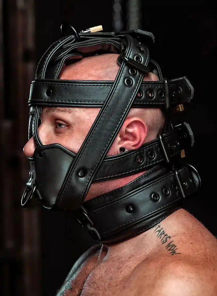 Mr. S Hardline Head Harness Muzzle Padded Locking Black