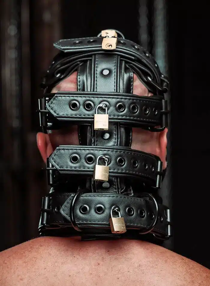 Mr. S Hardline Head Harness Muzzle Padded Locking Black