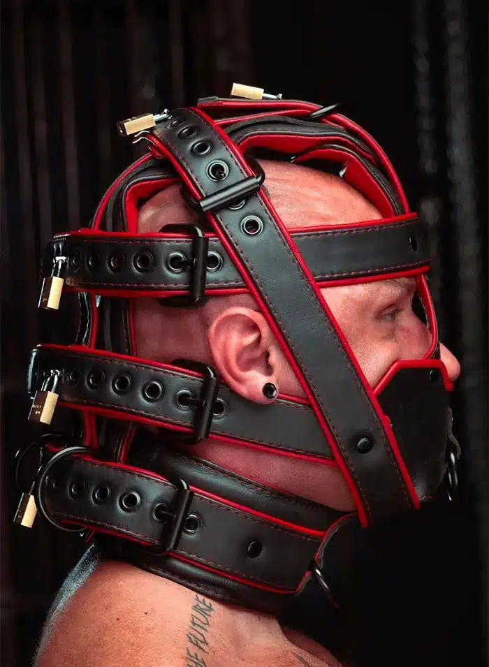 Mr. S Hardline Head Harness Muzzle Padded Locking Red