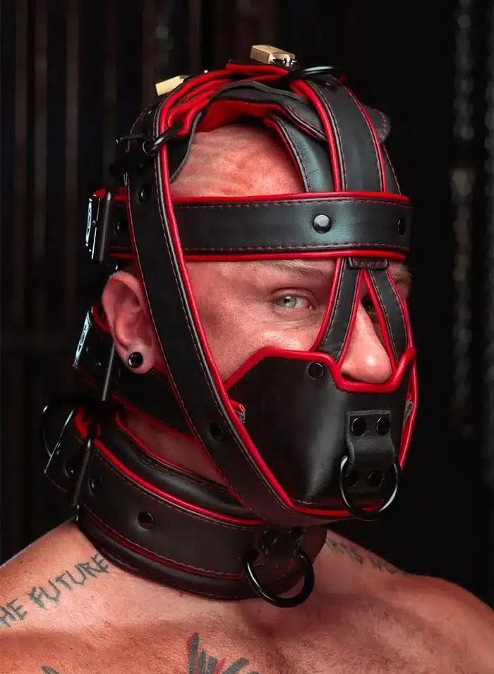 Mr. S Hardline Head Harness Muzzle Padded Locking Red