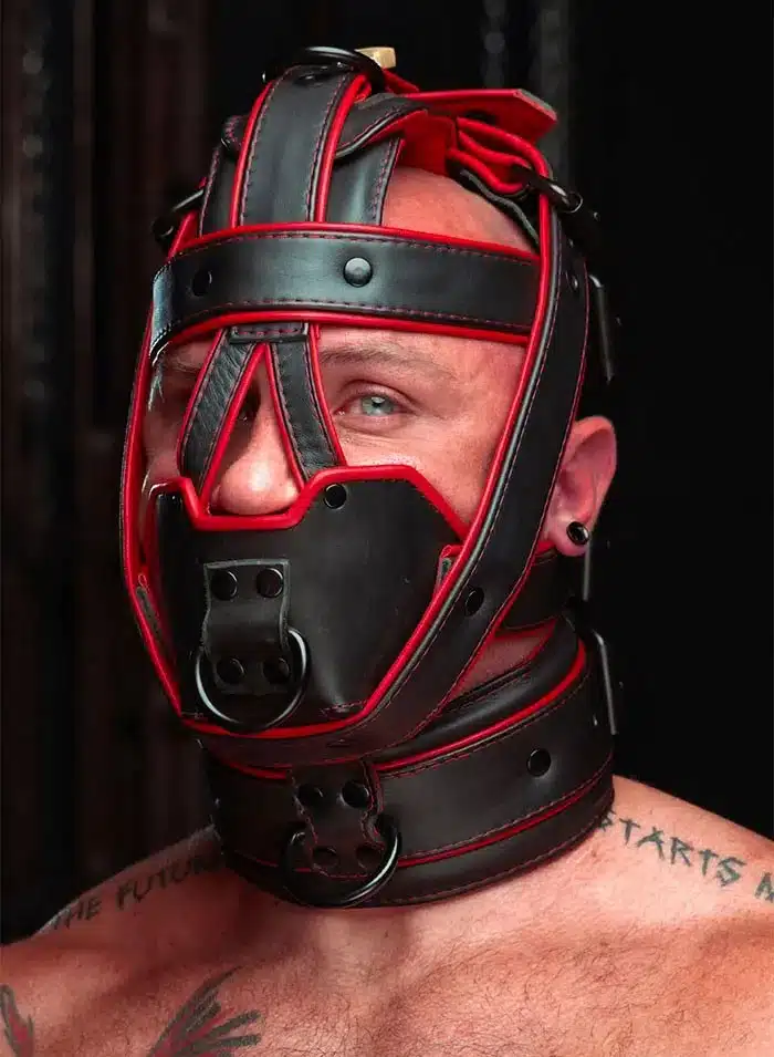 Mr. S Hardline Head Harness Muzzle Padded Locking Red