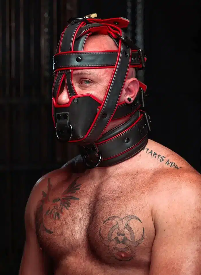 Mr. S Hardline Head Harness Muzzle Padded Locking Red