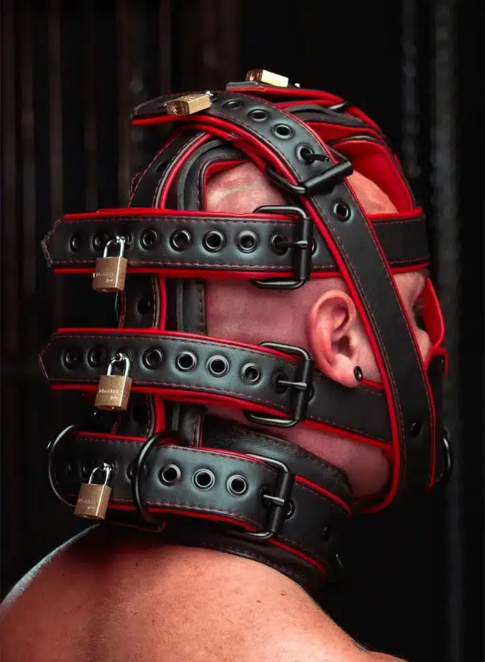 Mr. S Hardline Head Harness Muzzle Padded Locking Red