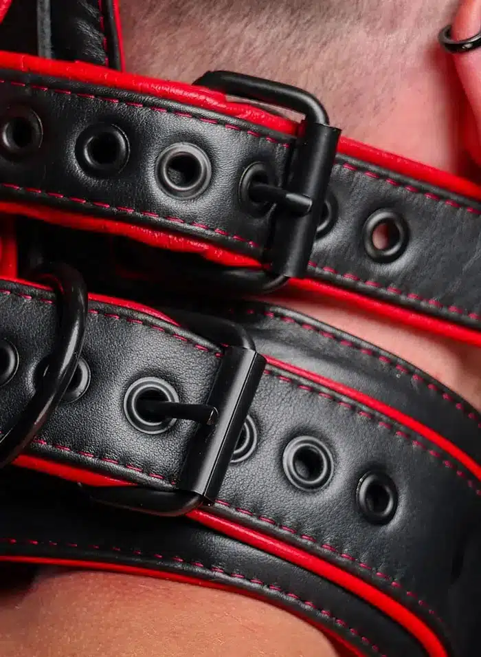 Mr. S Hardline Head Harness Muzzle Padded Locking Red