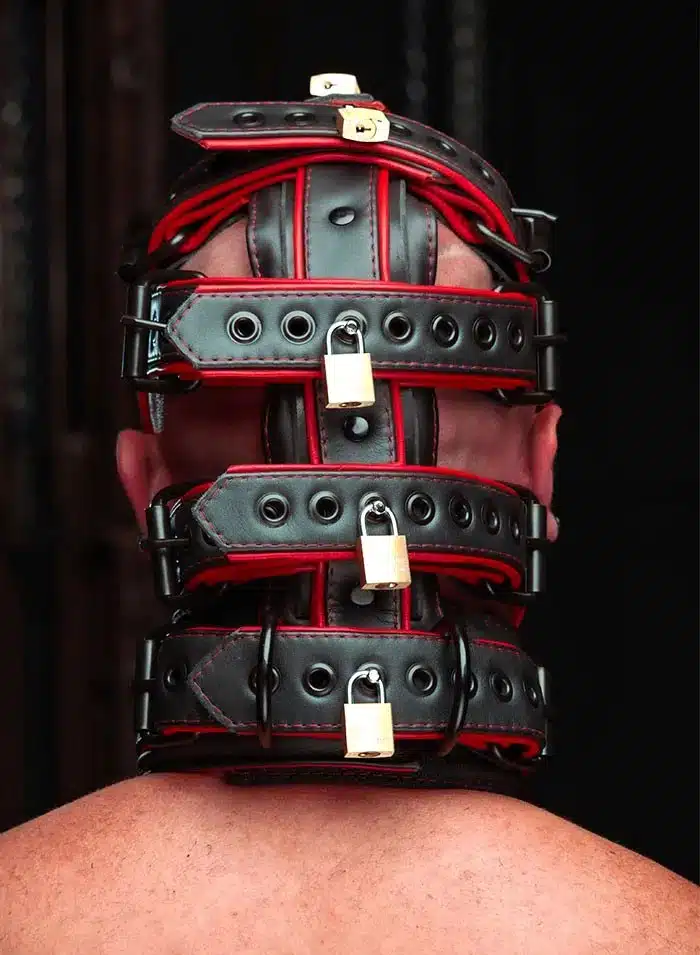 Mr. S Hardline Head Harness Muzzle Padded Locking Red