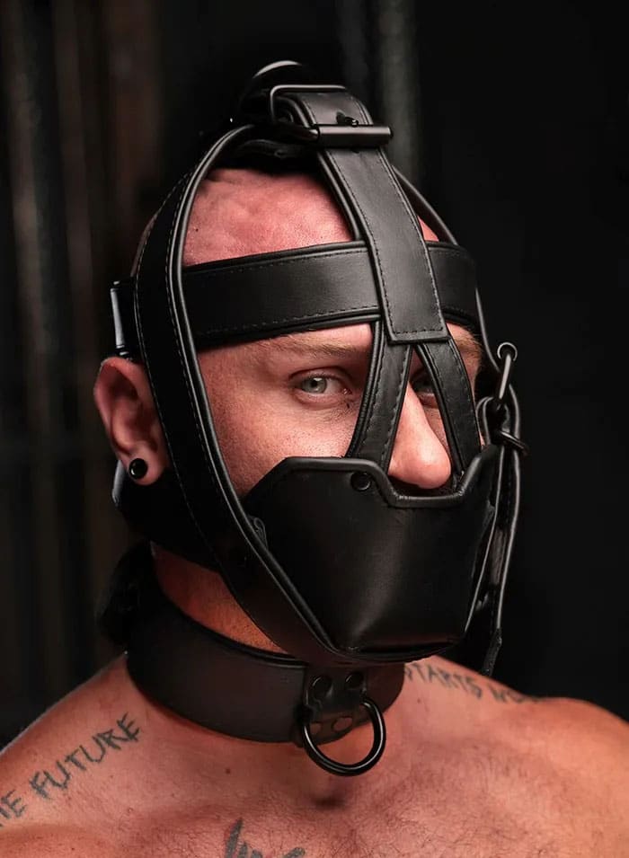 Mr. S Hardline Head Harness Muzzle Padded Non-locking Black