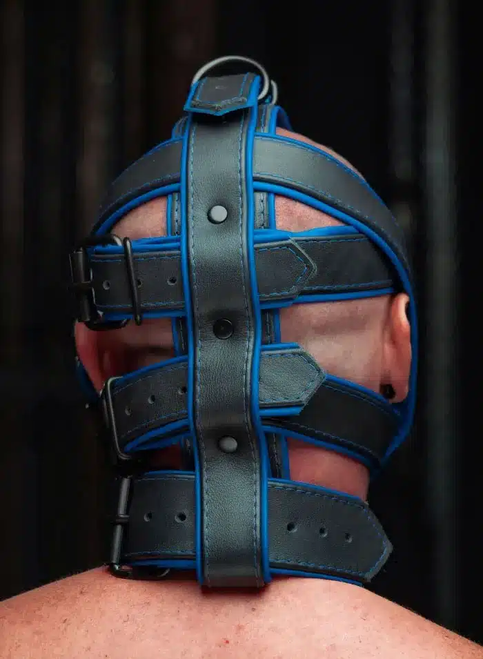 Mr. S Hardline Head Harness Muzzle Padded Non-locking Blue