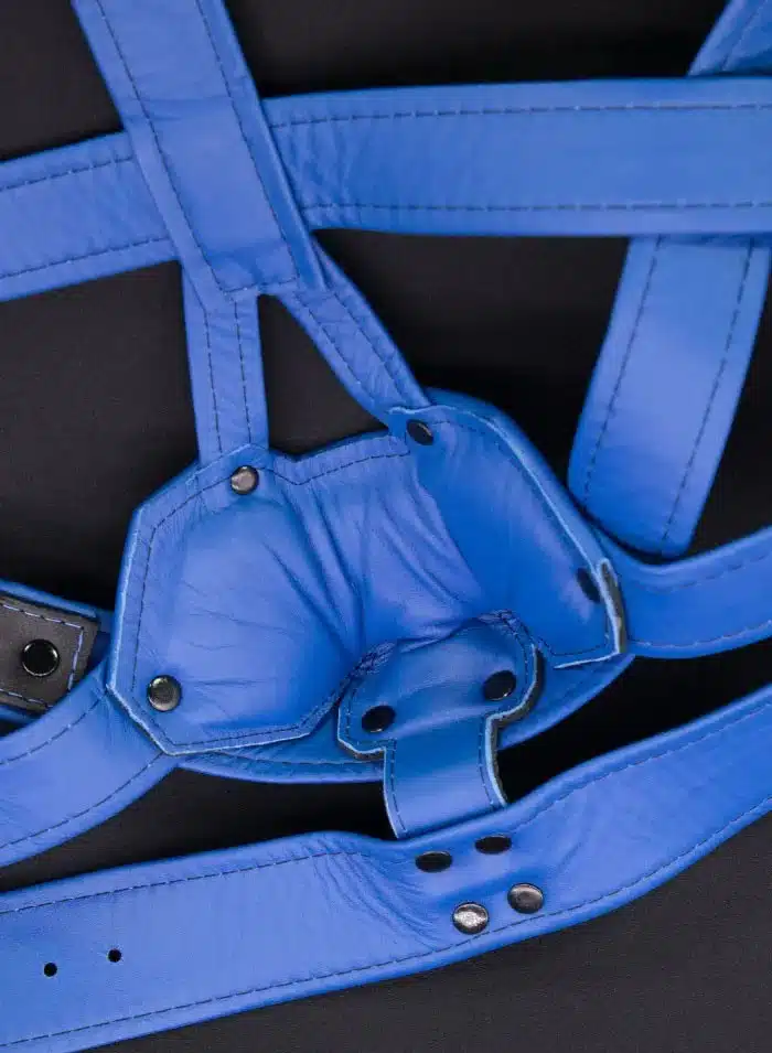 Mr. S Hardline Head Harness Muzzle Padded Non-locking Blue