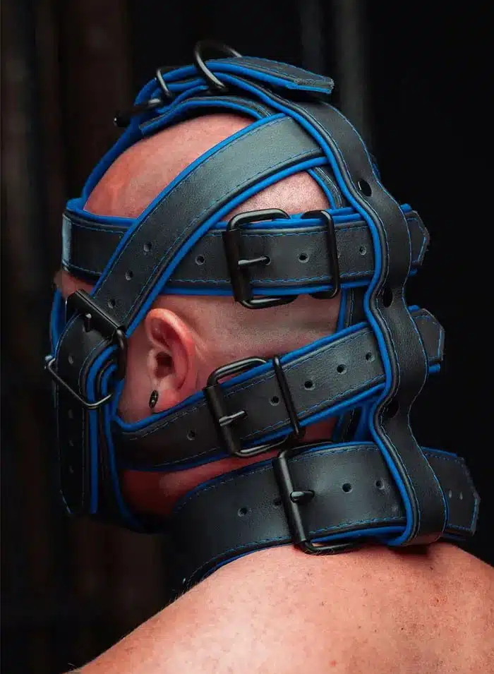 Mr. S Hardline Head Harness Muzzle Padded Non-locking Blue