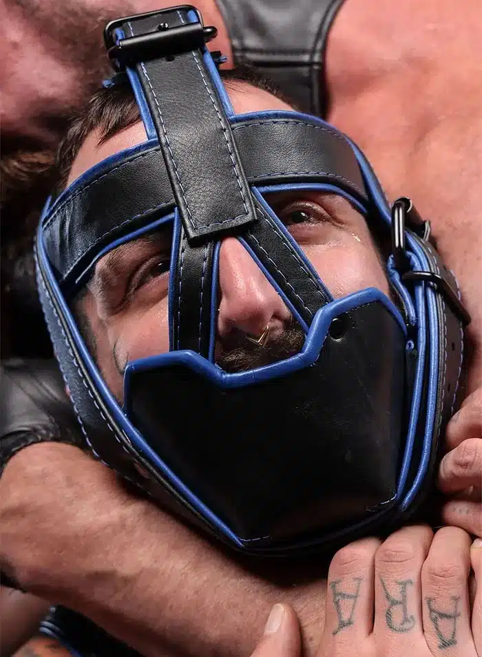 Mr. S Hardline Head Harness Muzzle Padded Non-locking Blue