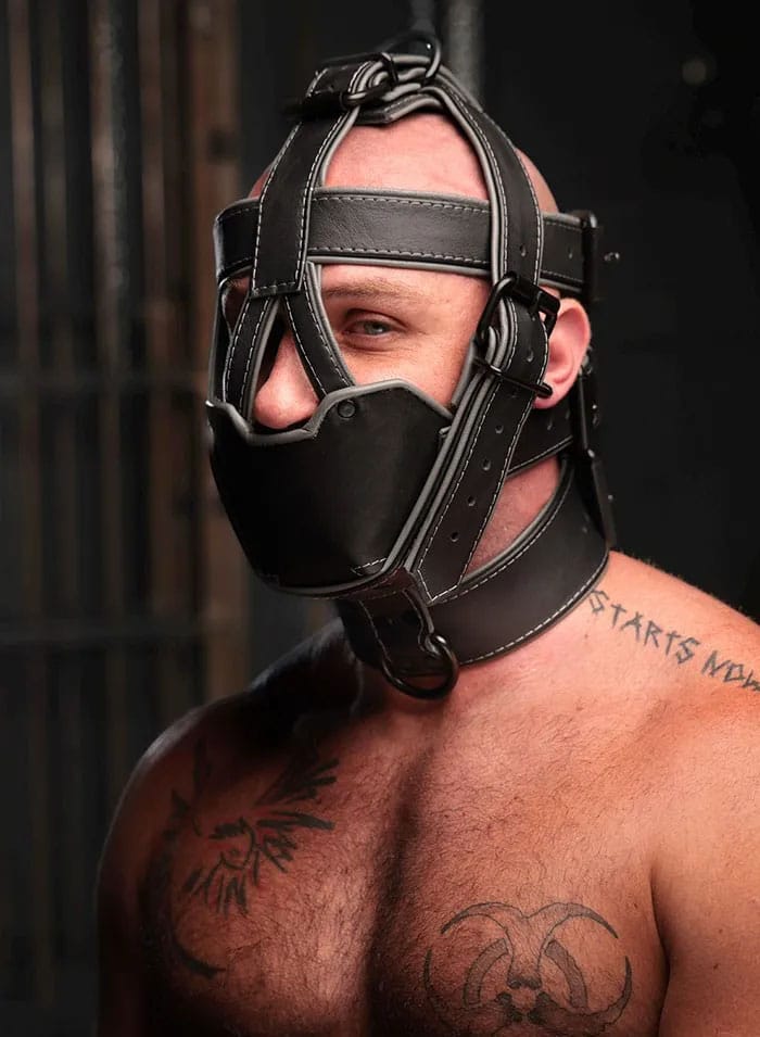 Mr. S Hardline Head Harness Muzzle Padded Non-locking Grey