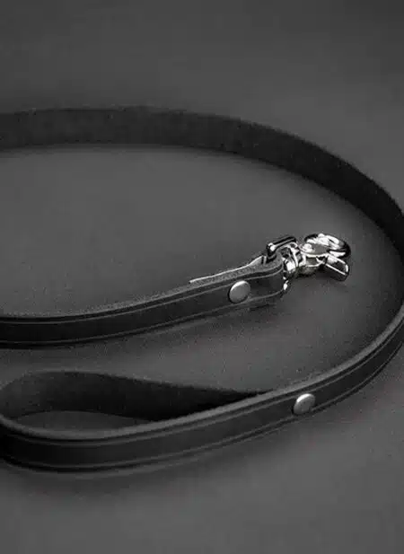 Mr. S Leather All Leather Leash