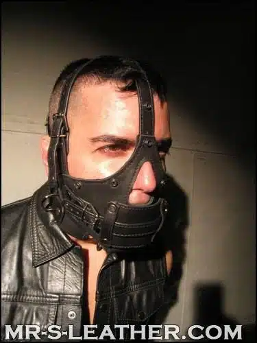 Mr. S Leather Bishop Head Harness