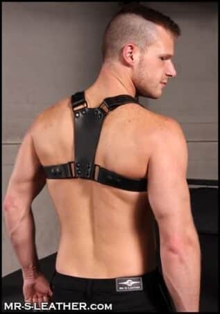 Mr. S Leather Centurion Harness