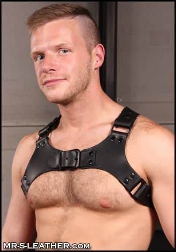 Mr. S Leather Centurion Harness