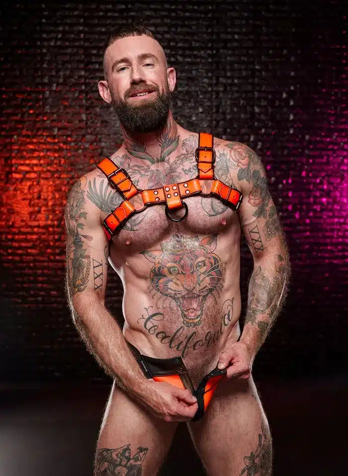 Mr. S Leather Dark Room Bulldog Harness Orange