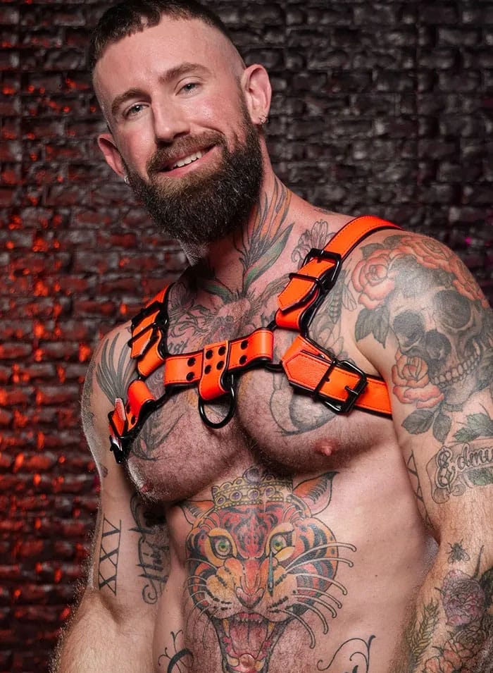 Mr. S Leather Dark Room Bulldog Harness Orange