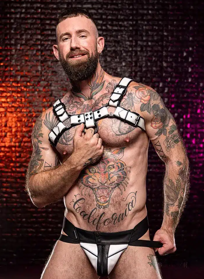 Mr. S Leather Dark Room Bulldog Harness White