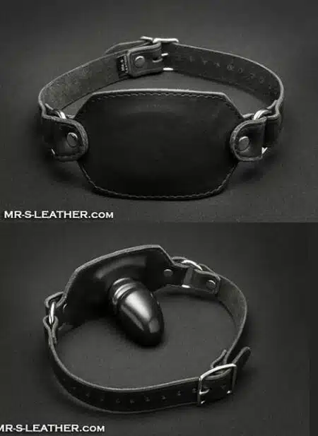 Mr. S Leather Devonshire Gag
