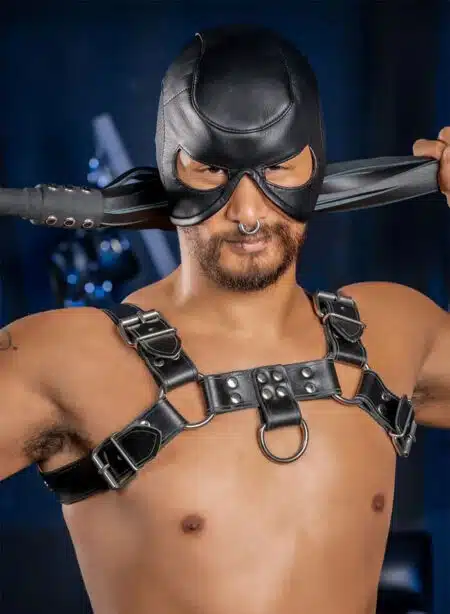 Mr. S Leather Dungeon Half Hood