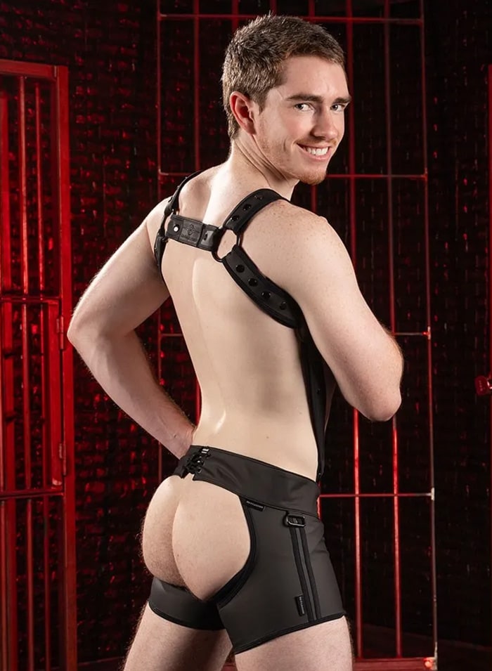 Mr. S Leather FuckGear Chaps Shorts