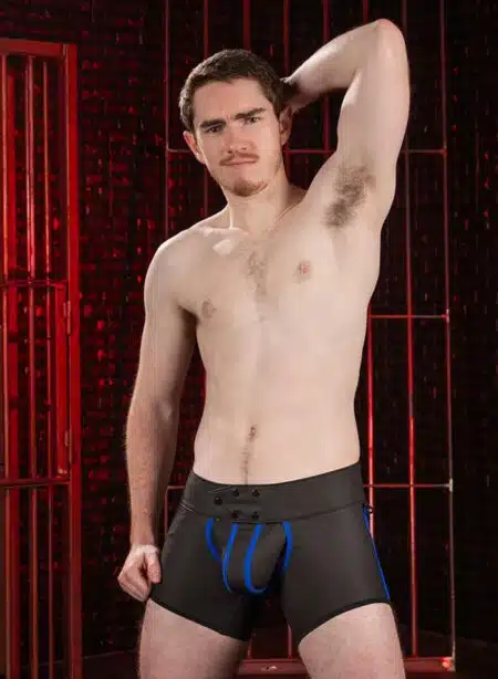 Mr. S Leather FuckGear Chaps Shorts