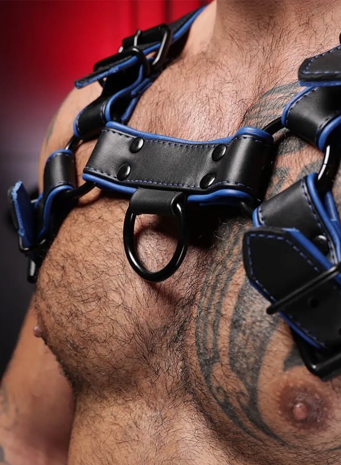 Mr. S Leather Hardline Bulldog Harness Blue