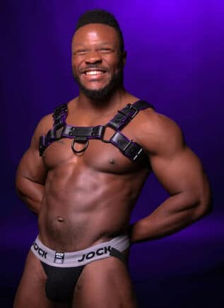 Mr. S Leather Hardline Bulldog Harness Purple