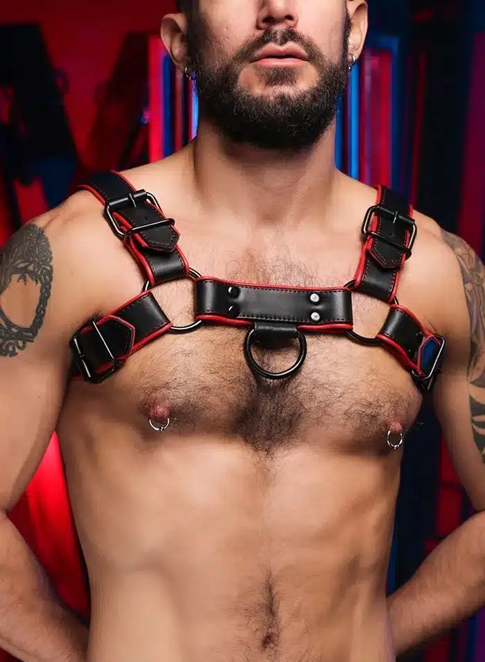 Mr. S Leather Hardline Bulldog Harness Red