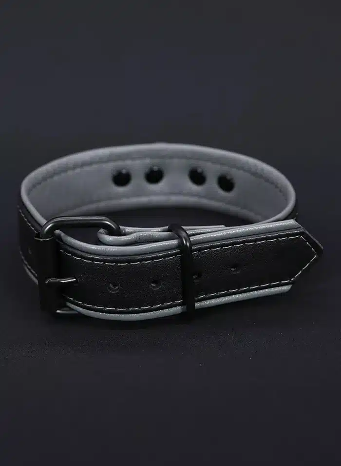 Mr. S Leather Hardline Collar Grey