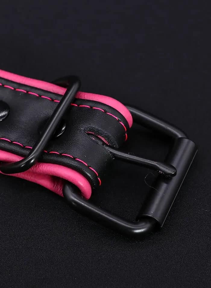 Mr. S Leather Hardline Collar Pink