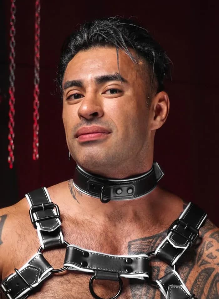 Mr. S Leather Hardline Collar White