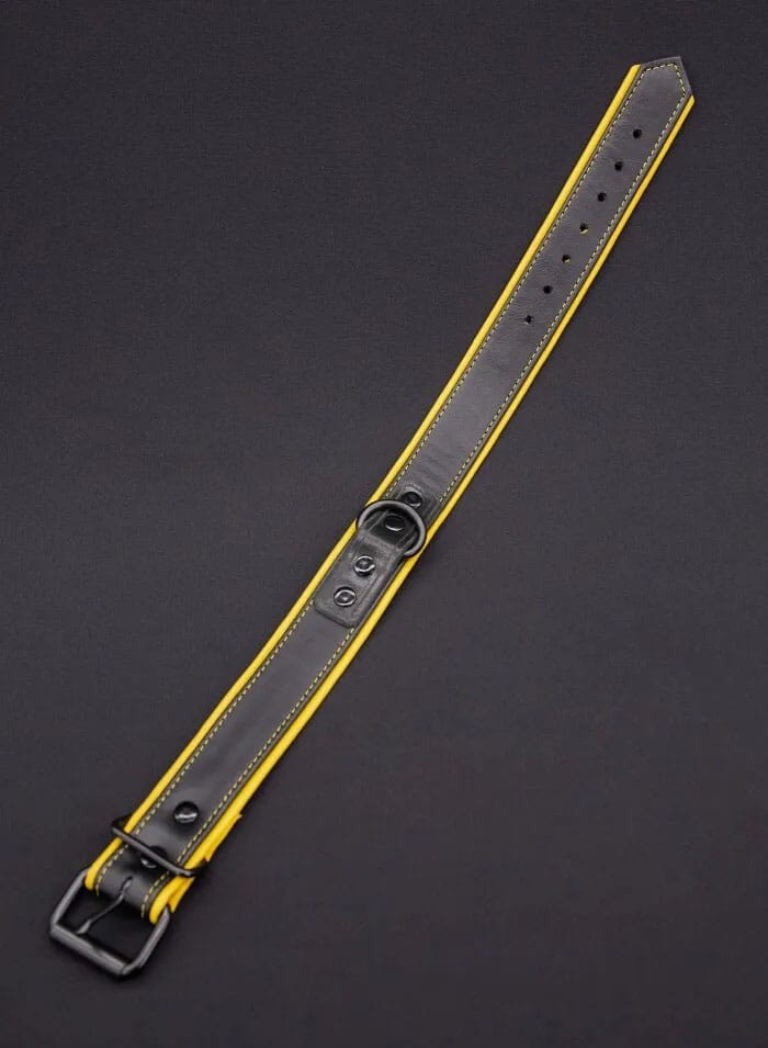 Mr. S Leather Hardline Collar Yellow