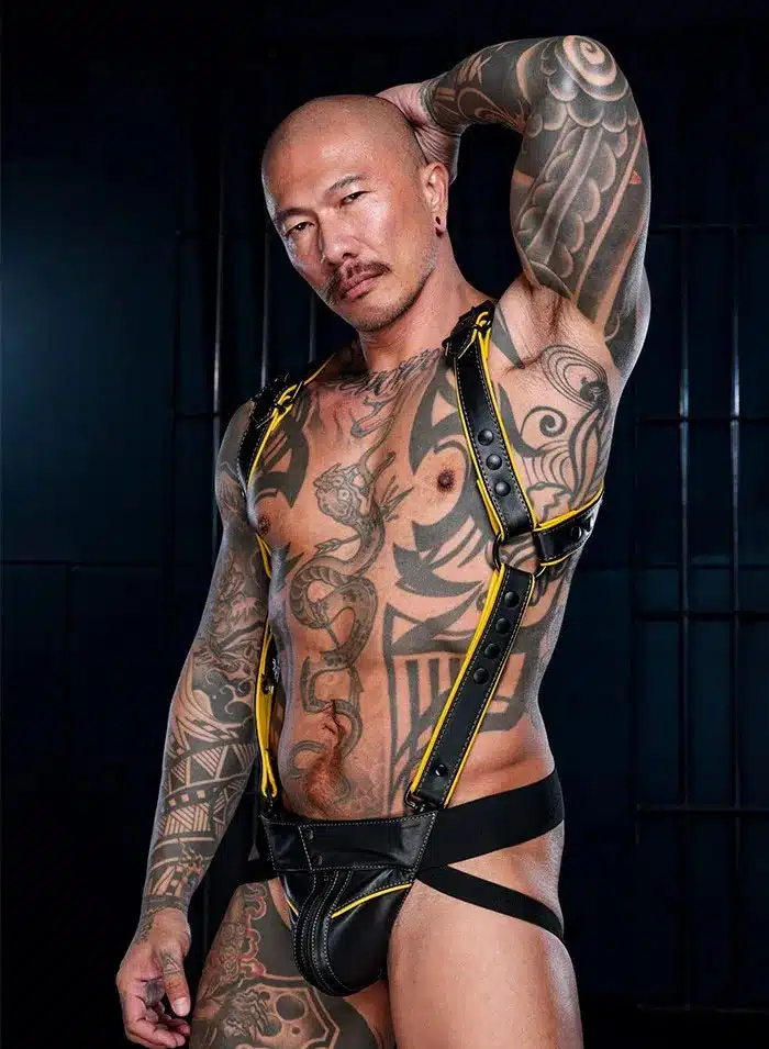 Mr. S Leather Hardline Hunter Harness Yellow