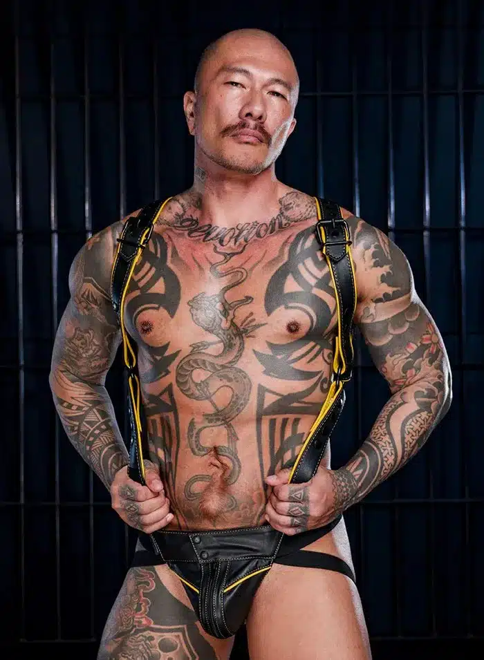 Mr. S Leather Hardline Hunter Harness Yellow