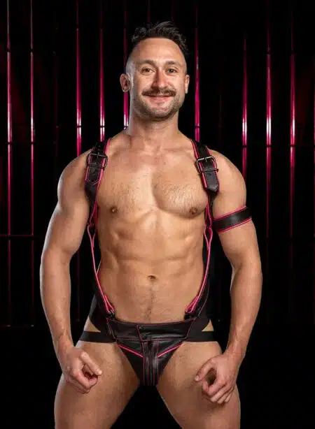 Mr. S Leather Hardline Jockstrap Pink