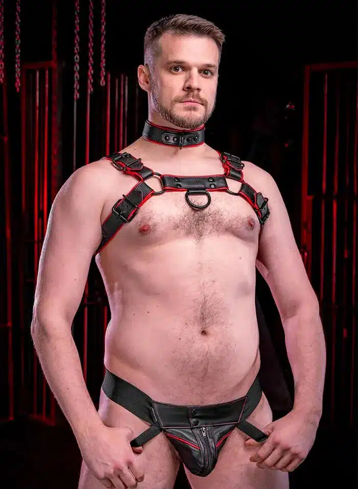 Mr. S Leather Hardline Jockstrap Red