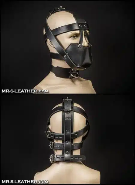 Mr. S Leather Head Harness Muzzle Padded with Locking Buckles