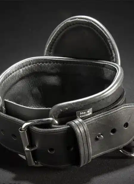 Mr. S Leather Heavy Duty Posture Collar