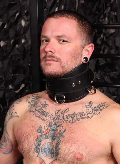 Mr. S Leather Heavy Duty Posture Collar